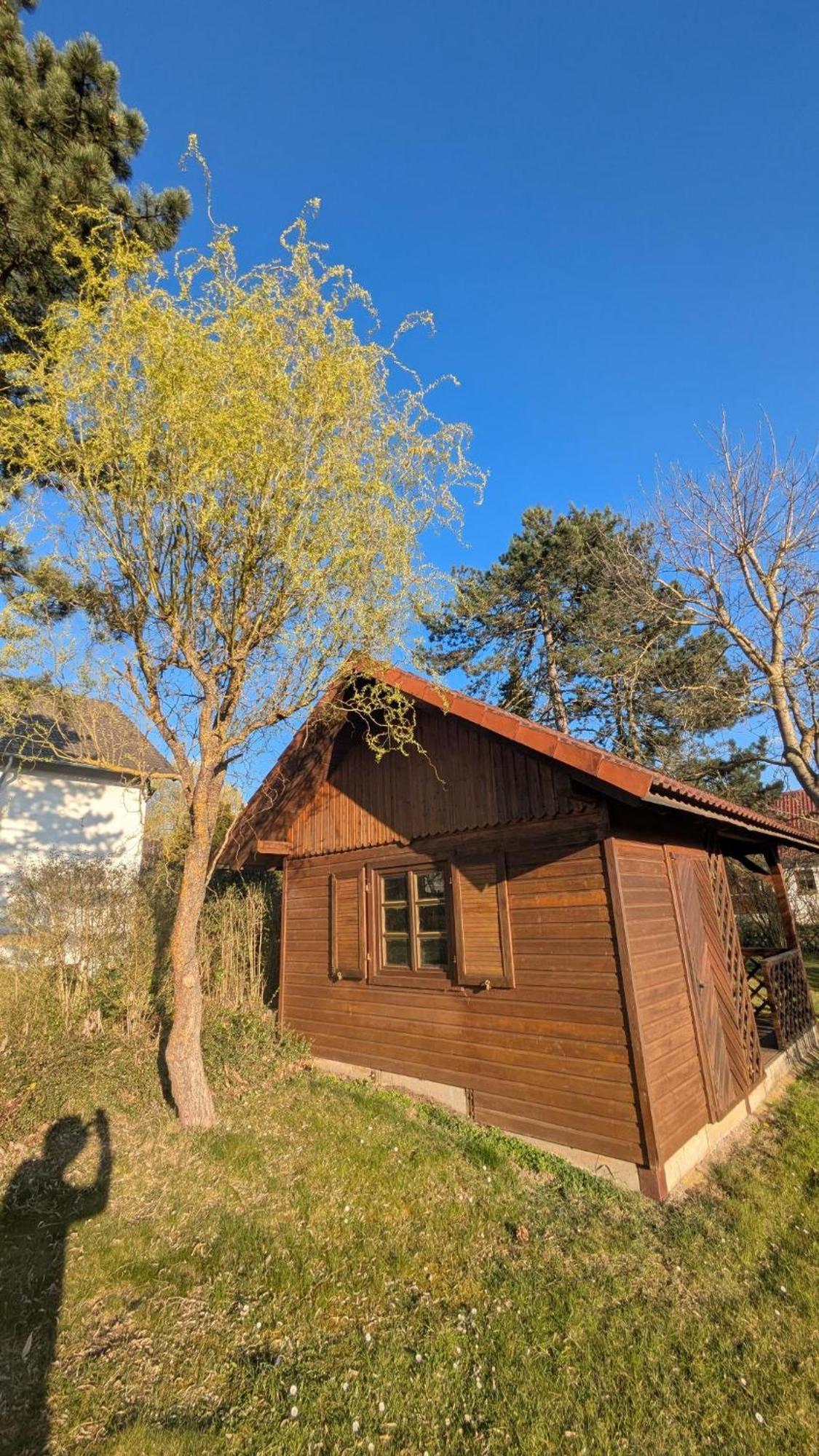 Landhotel Sonneneck - Breuna Im Naturpark 外观 照片