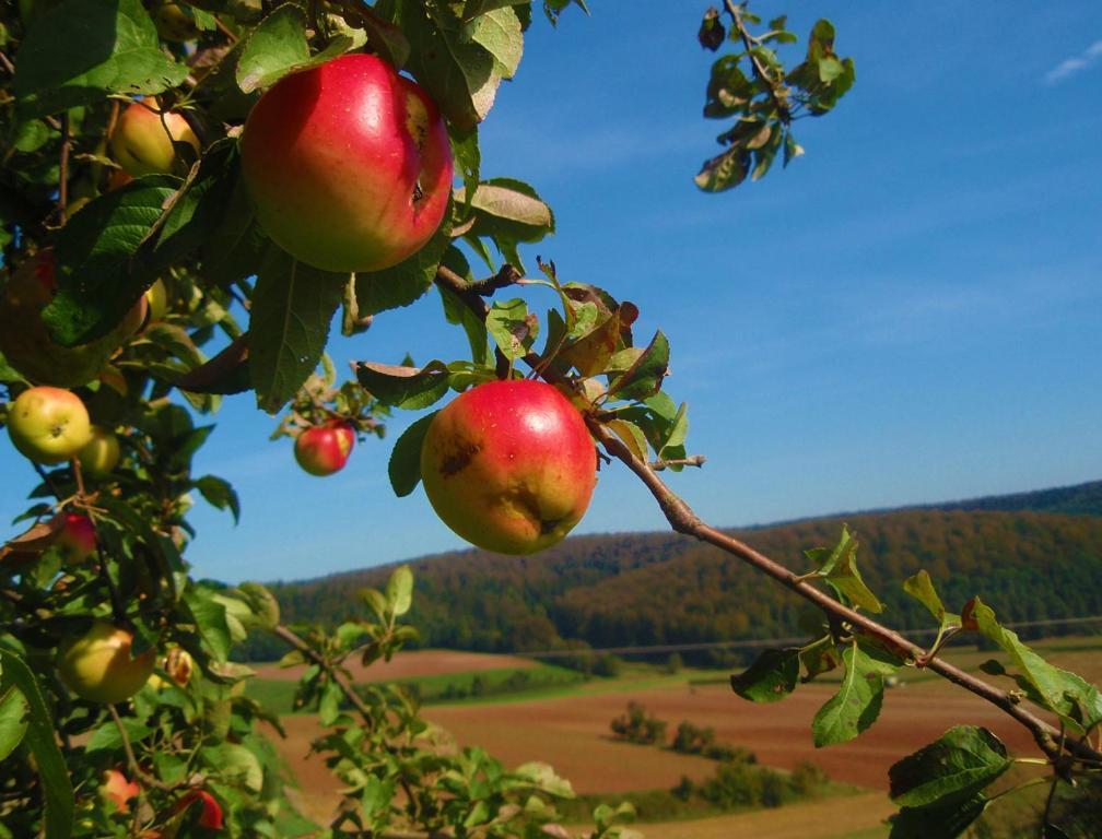 Landhotel Sonneneck - Breuna Im Naturpark 外观 照片